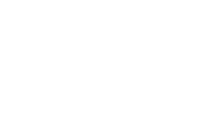 logo wella 2